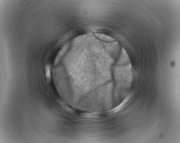 X0000098180094200805221547