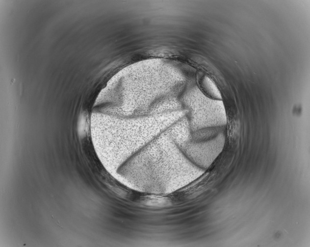 X0000098180095200805221547