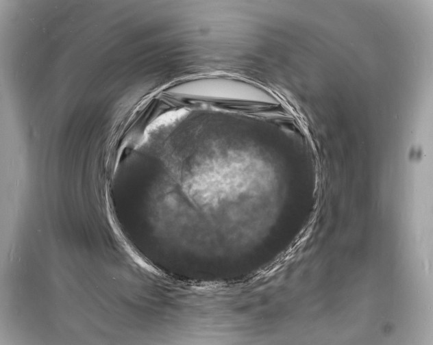 X0000098180097200805221546