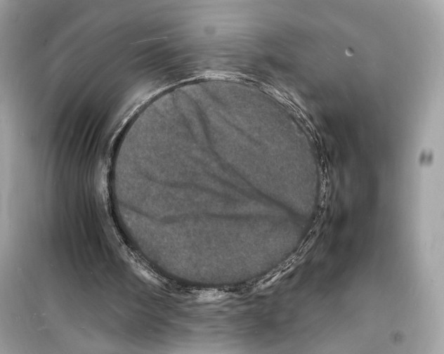 X0000098180098200805221546