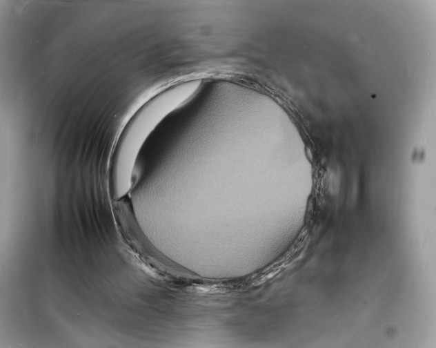 X0000098180100200805221546