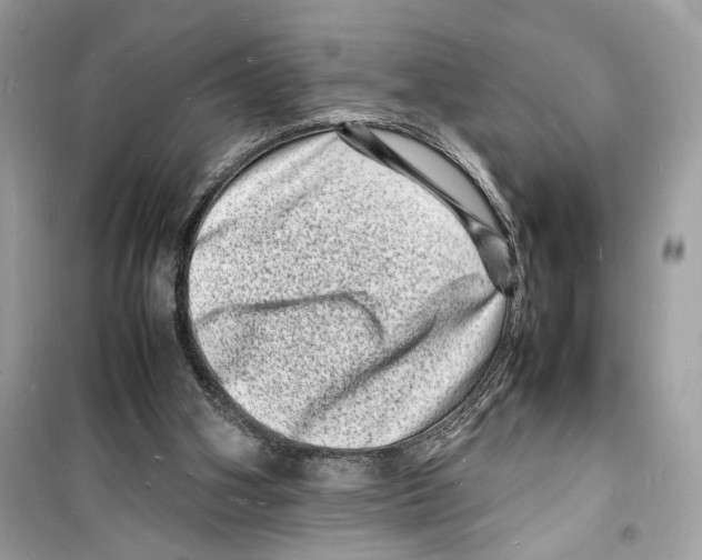 X0000098180106200805221546