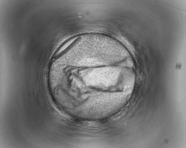 X0000098180107200805221546