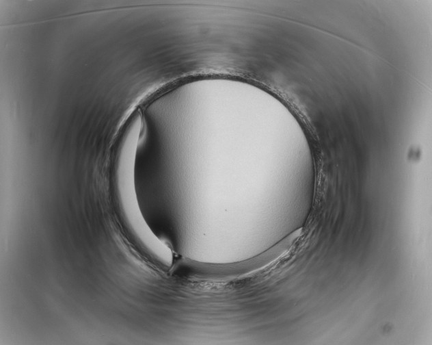 X0000098180108200805221546