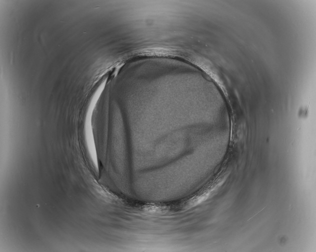 X0000098180109200805221546