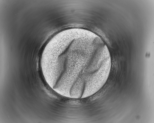 X0000098180110200805221546