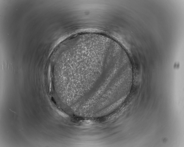 X0000098180111200805221546