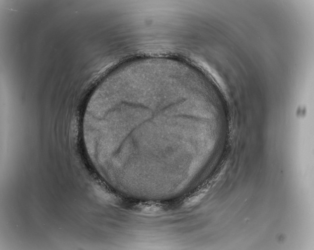 X0000098180113200805221546