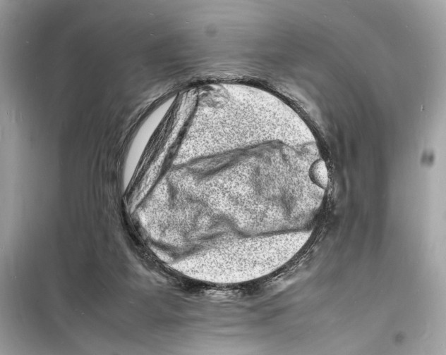 X0000098180115200805221546