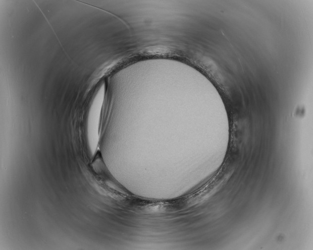 X0000098180116200805221546