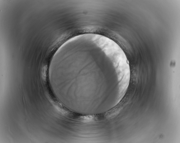 X0000098180118200805221546