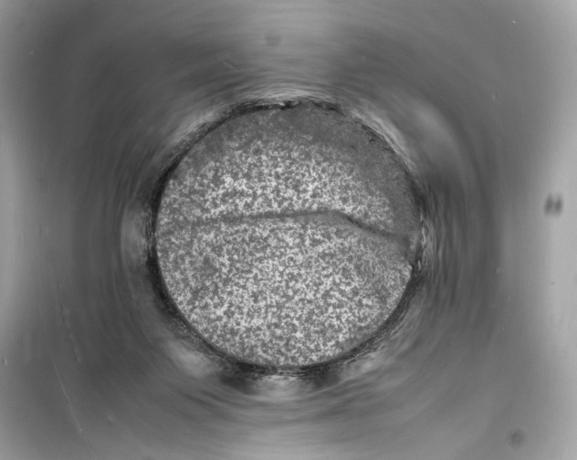 X0000098180119200805221546