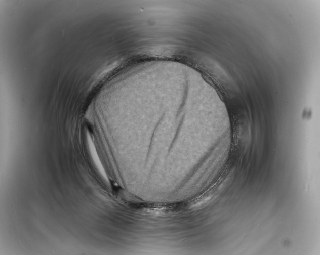 X0000098180120200805221546