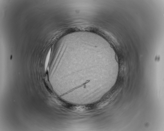 X0000098180121200805221546