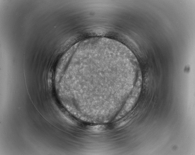 X0000098180122200805221546