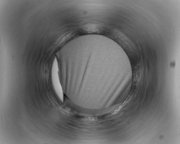 X0000098180124200805221546