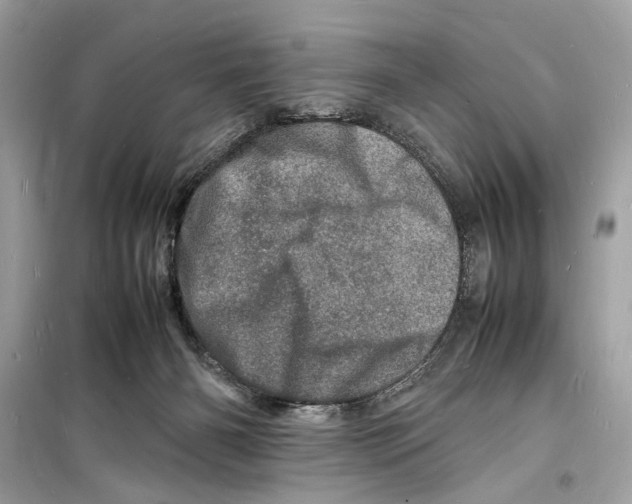 X0000098180126200805221546