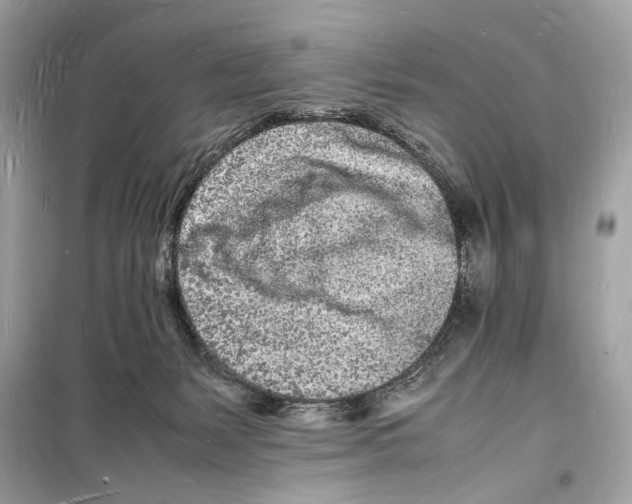 X0000098180127200805221546