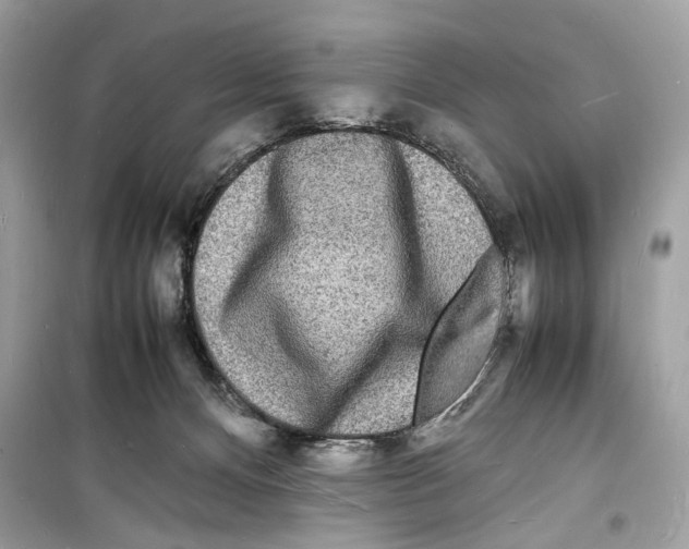 X0000098180128200805221546