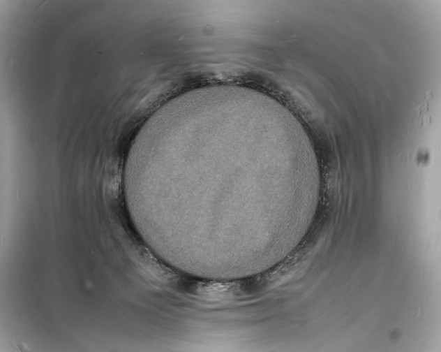 X0000098180129200805221546