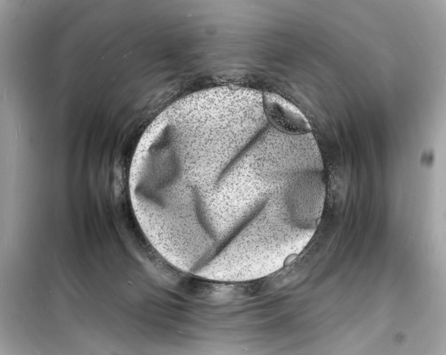 X0000098180130200805221546