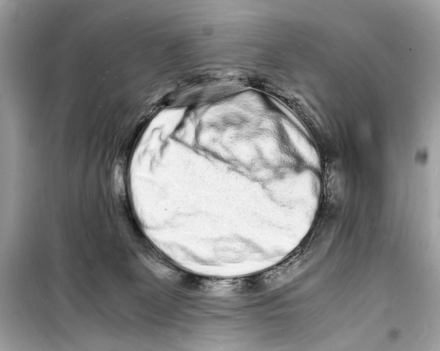 X0000098180131200805221546