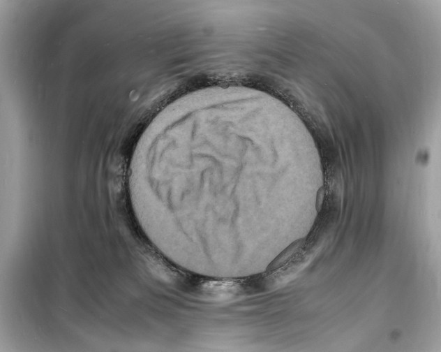 X0000098180133200805221546