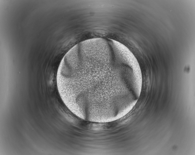 X0000098180134200805221546