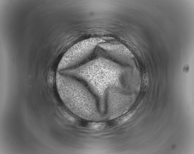 X0000098180135200805221546