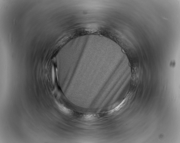 X0000098180136200805221546