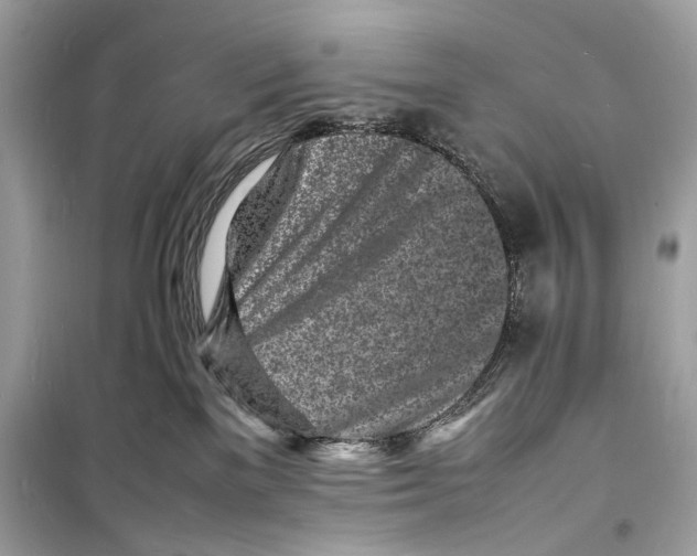 X0000098180137200805221546