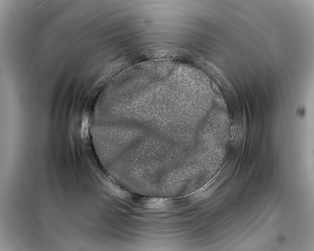 X0000098180142200805221546