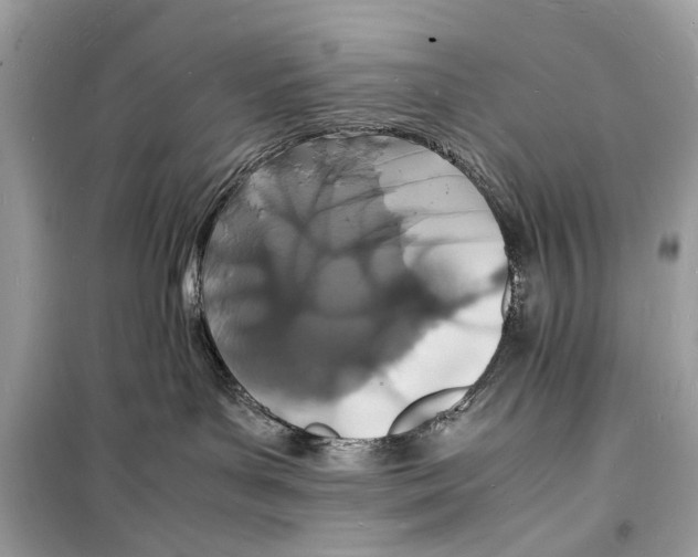 X0000098180143200805221546