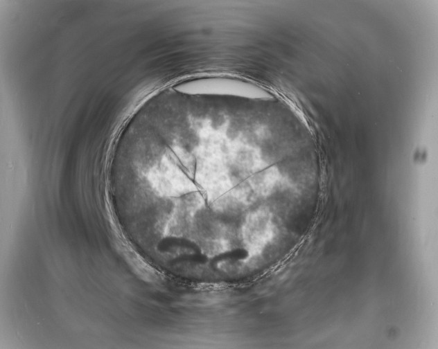 X0000098180145200805221545