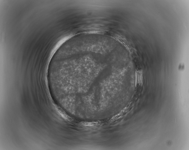 X0000098180147200805221545