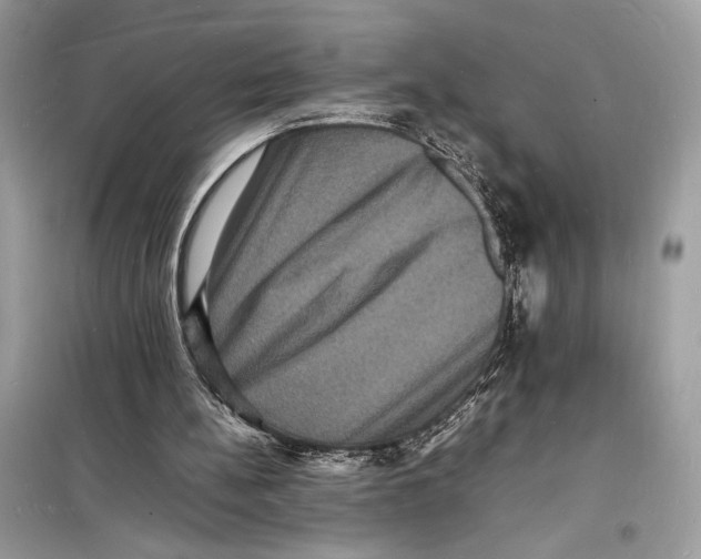 X0000098180148200805221545