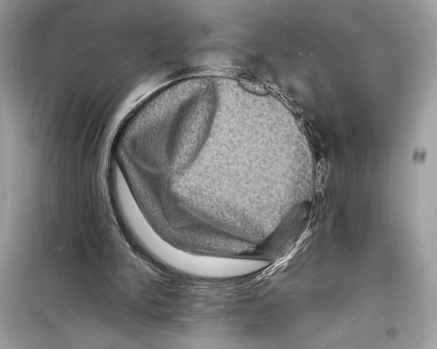 X0000098180150200805221545