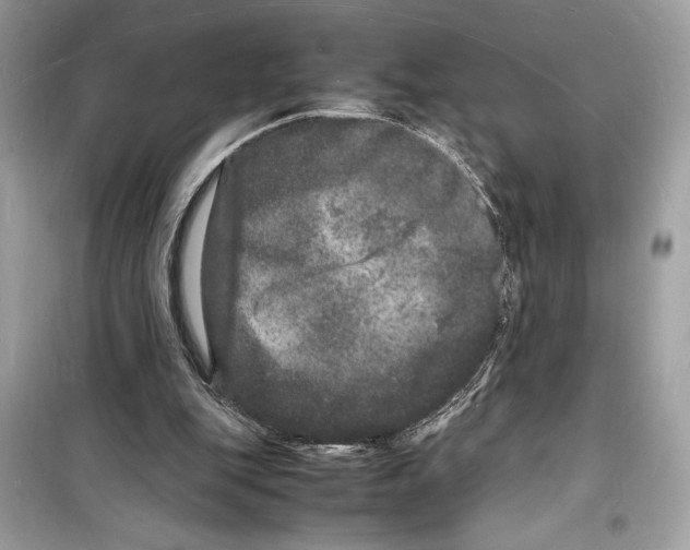 X0000098180151200805221545