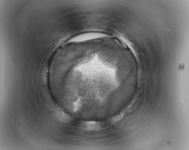 X0000098180153200805221545