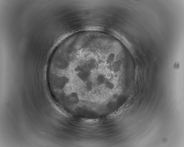 X0000098180155200805221545