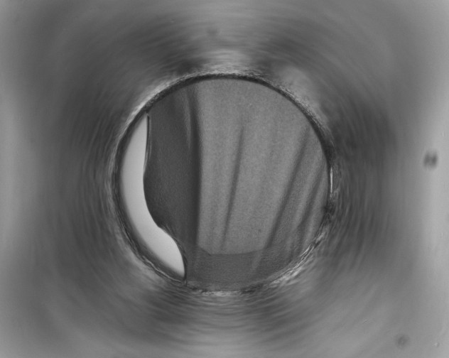 X0000098180156200805221545