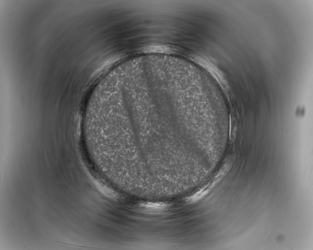 X0000098180157200805221545