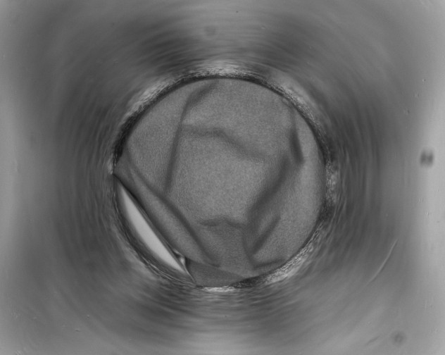 X0000098180158200805221545