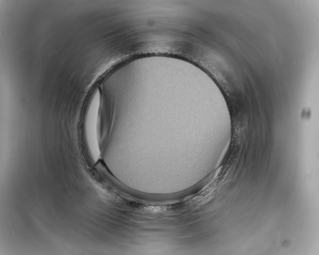 X0000098180160200805221545