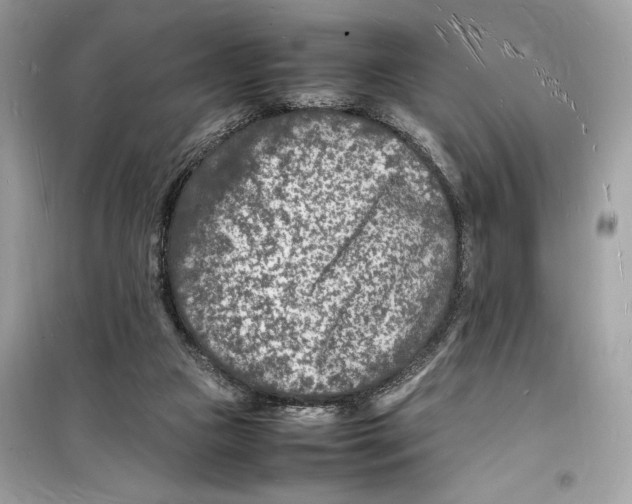 X0000098180161200805221545