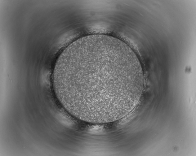 X0000098180162200805221545