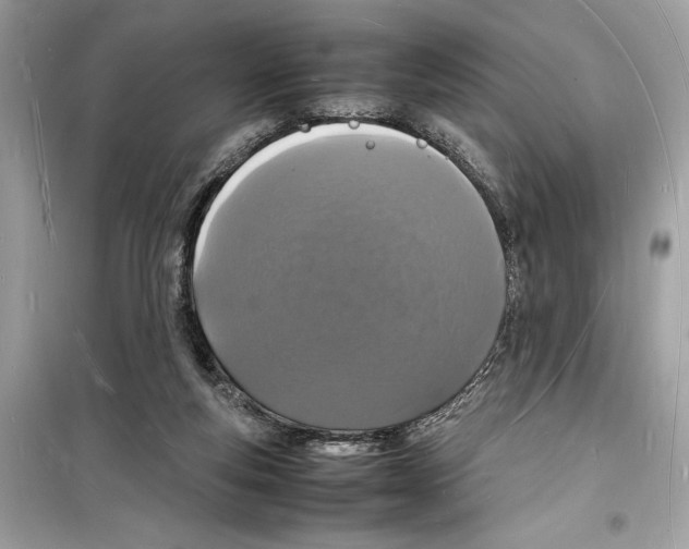 X0000098180163200805221545