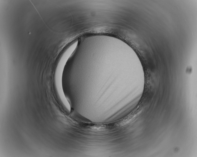 X0000098180164200805221545