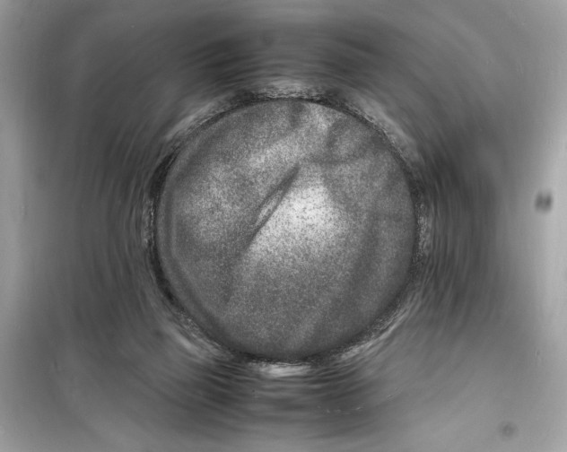 X0000098180165200805221545