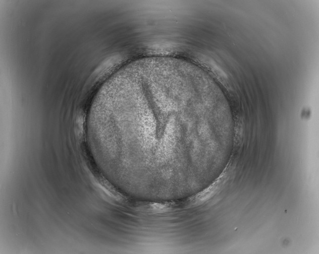 X0000098180166200805221545